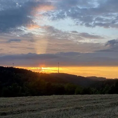 Prázdninový dům Vogelnest Marktschorgast