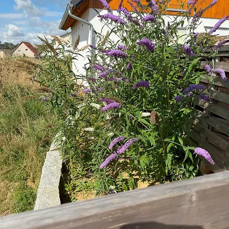 Vogelnest Дом отдыха