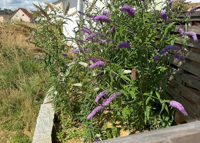 Vogelnest בית נופש